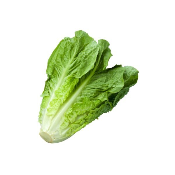 Lettuce Romaine 0.290/Kg