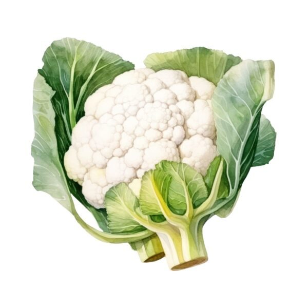 Cauliflower 1KG - Image 4