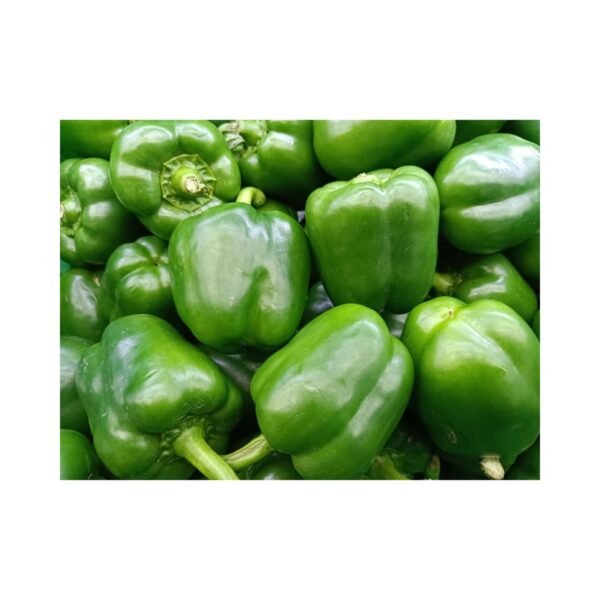 capsicum 1KG - Image 2