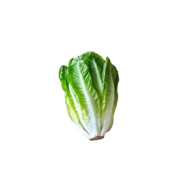 Lettuce Romaine 0.290/Kg - Image 3