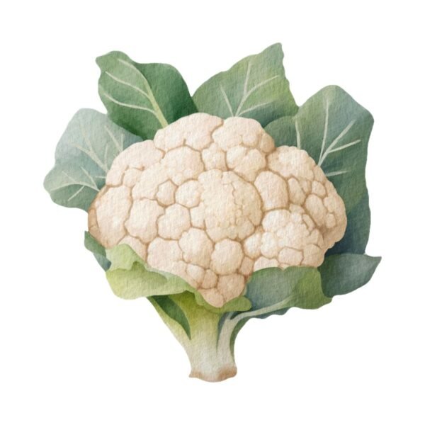 Cauliflower 1KG - Image 3